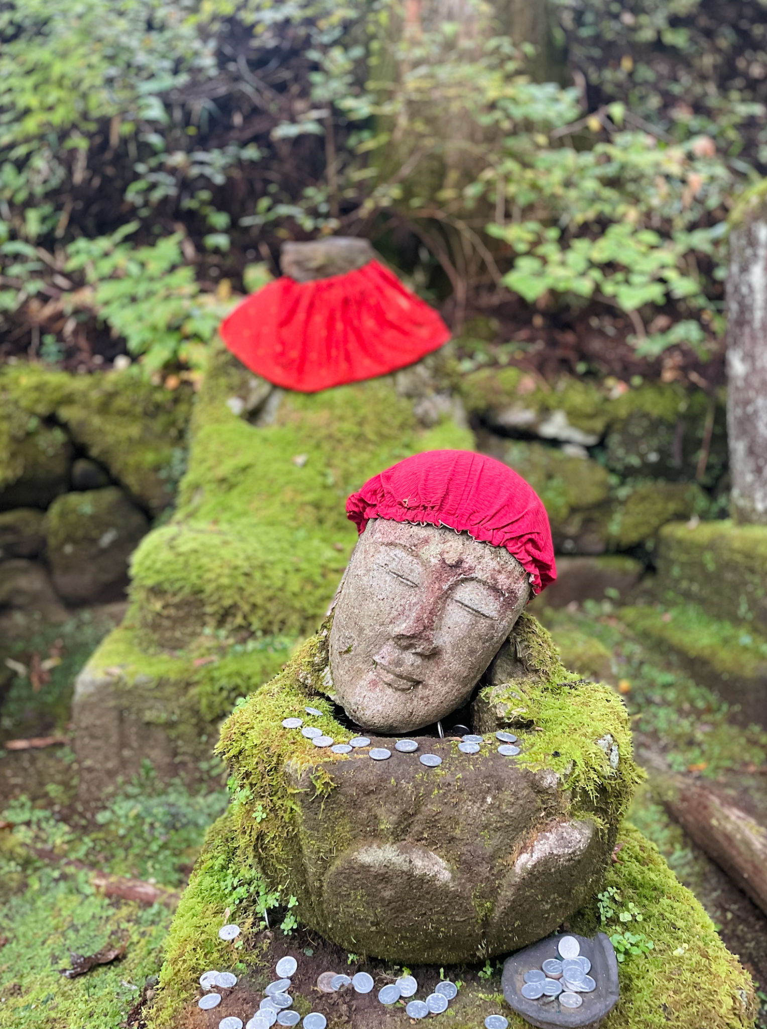 Kanmangafuchi Abyss in Nikko