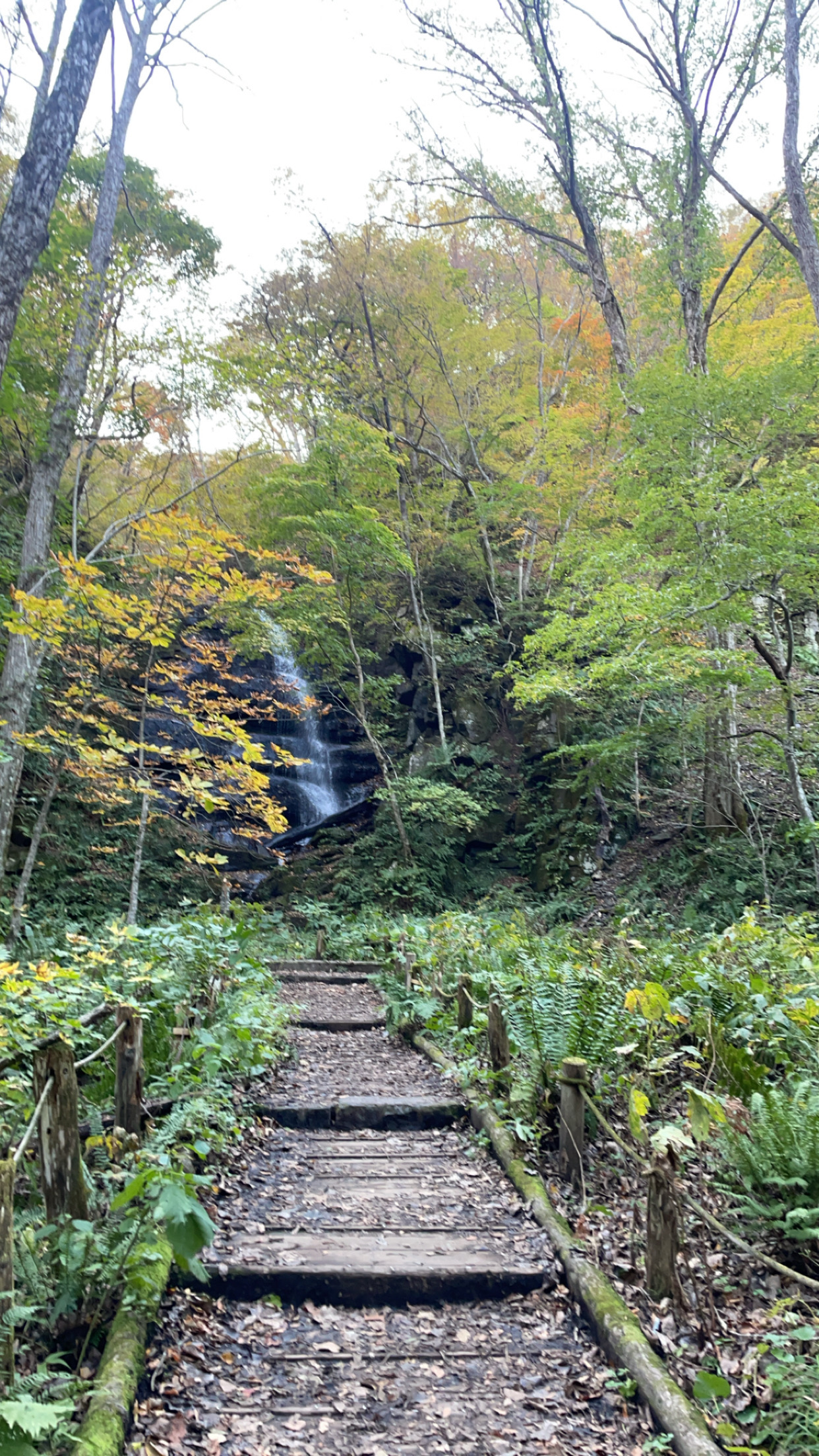 Oirase Gorge in autumn