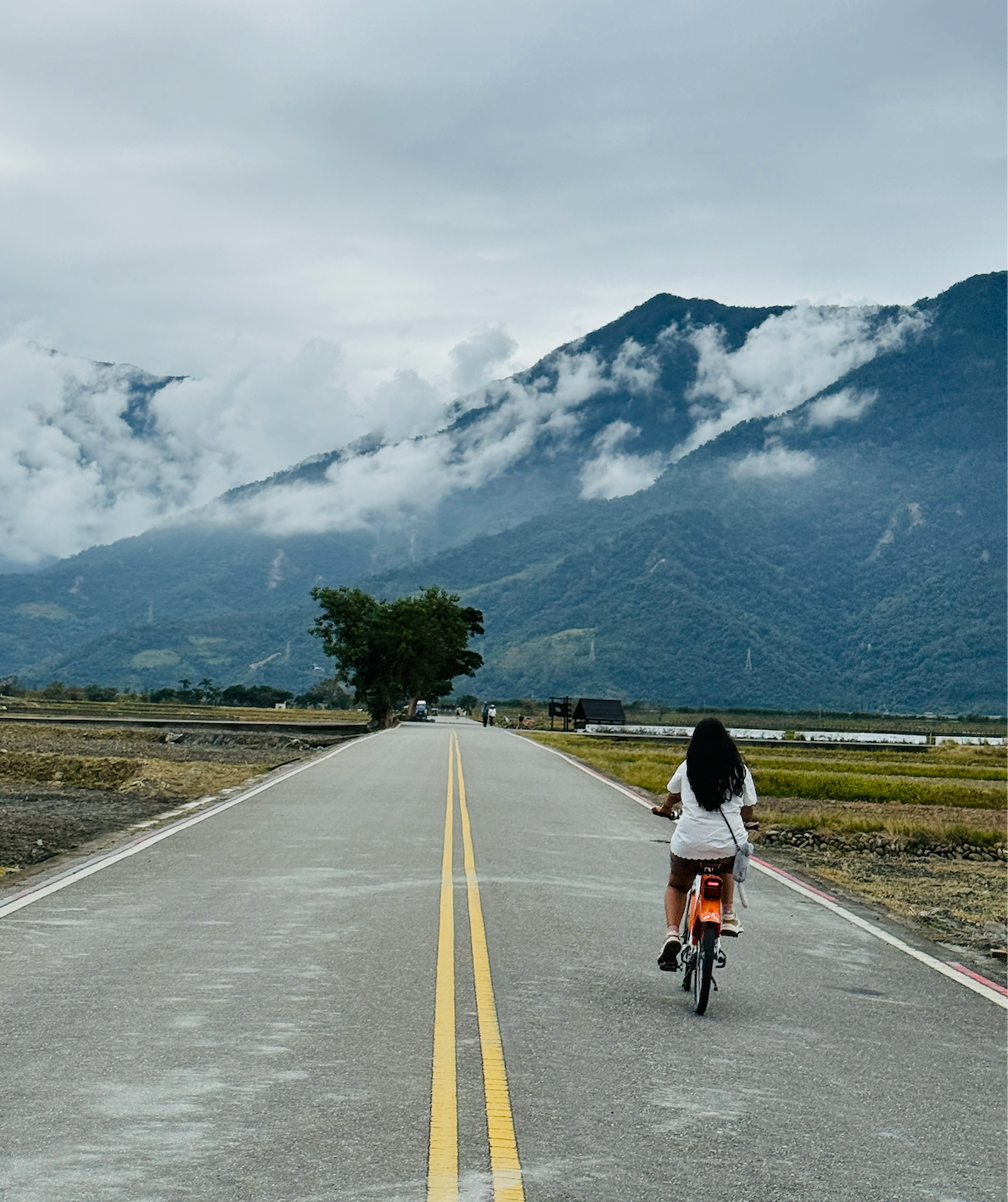 A road that wasn't part of any plan