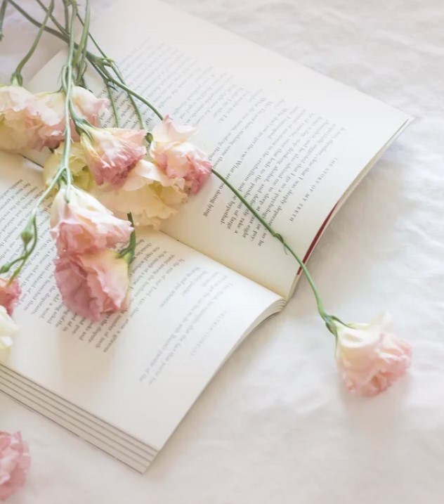 Equanimity in Practice