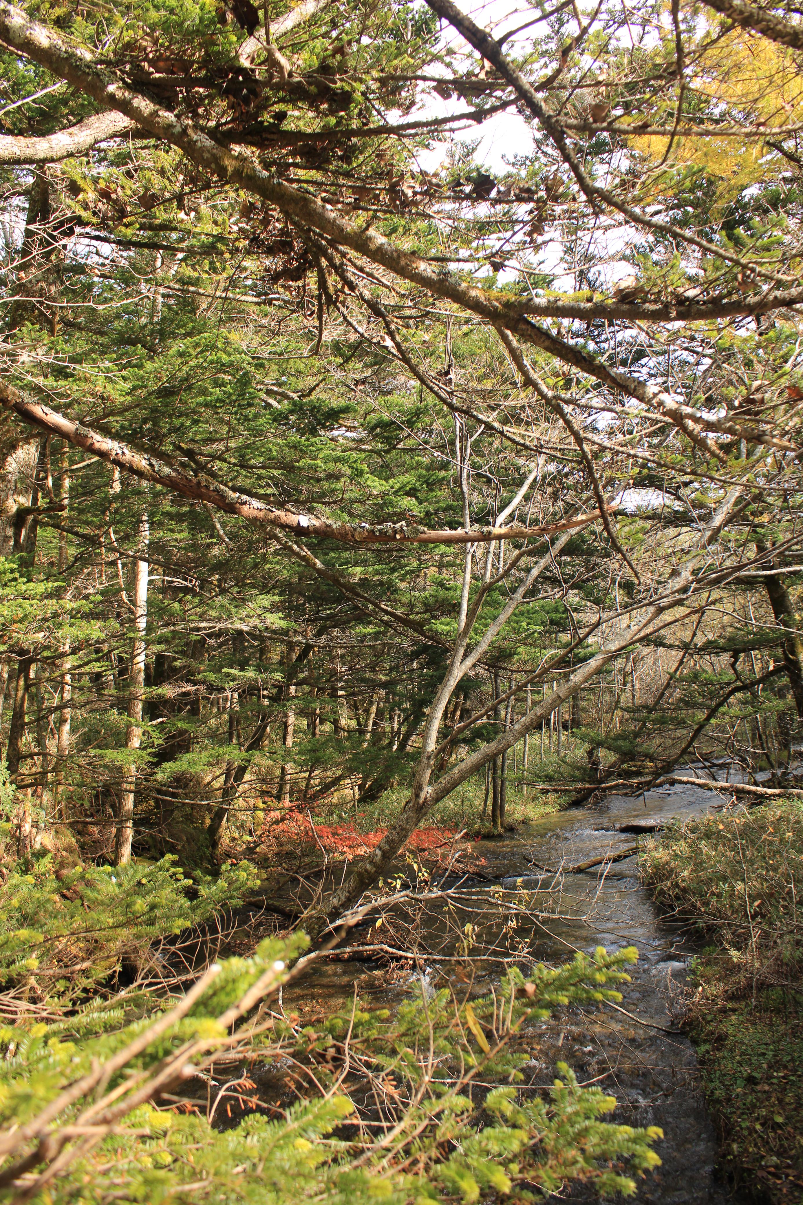 Hotaka Range