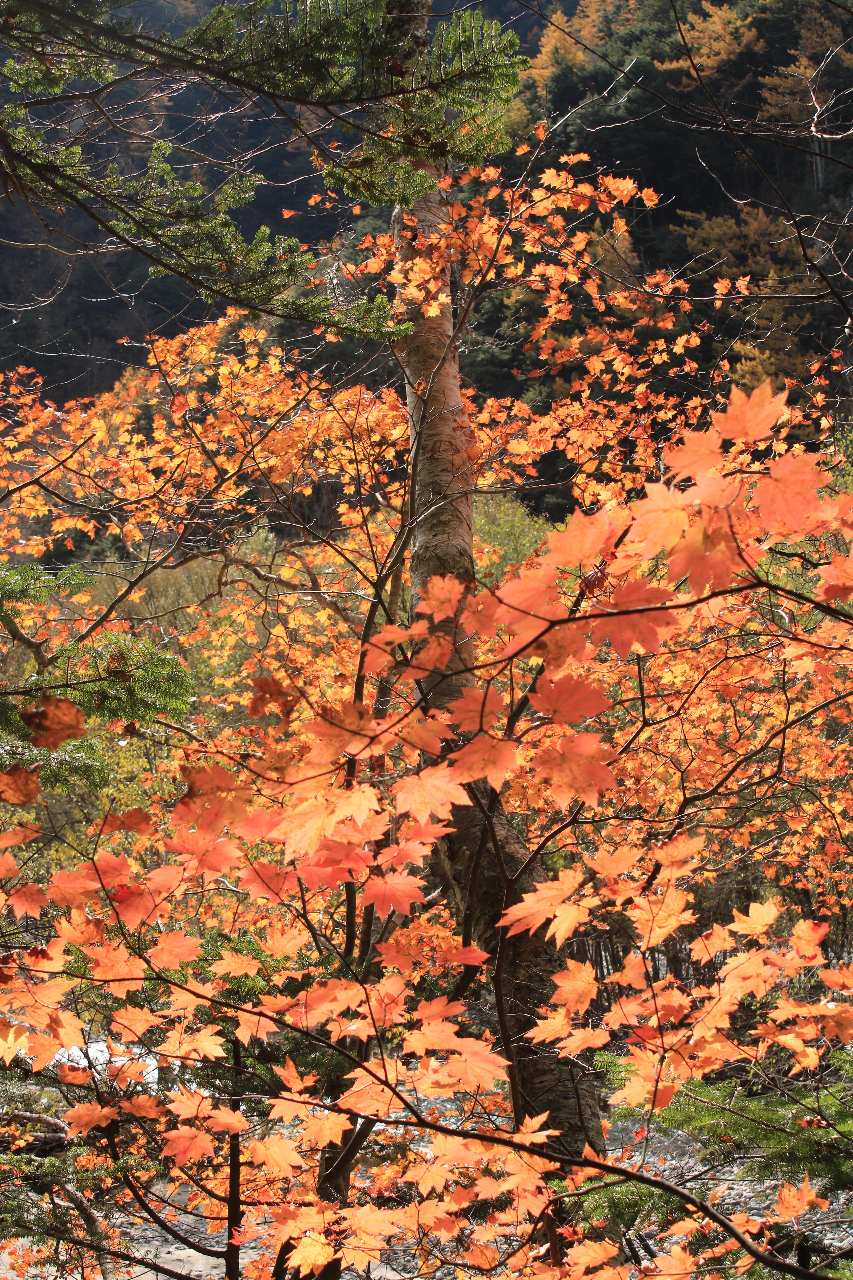 Hotaka Range