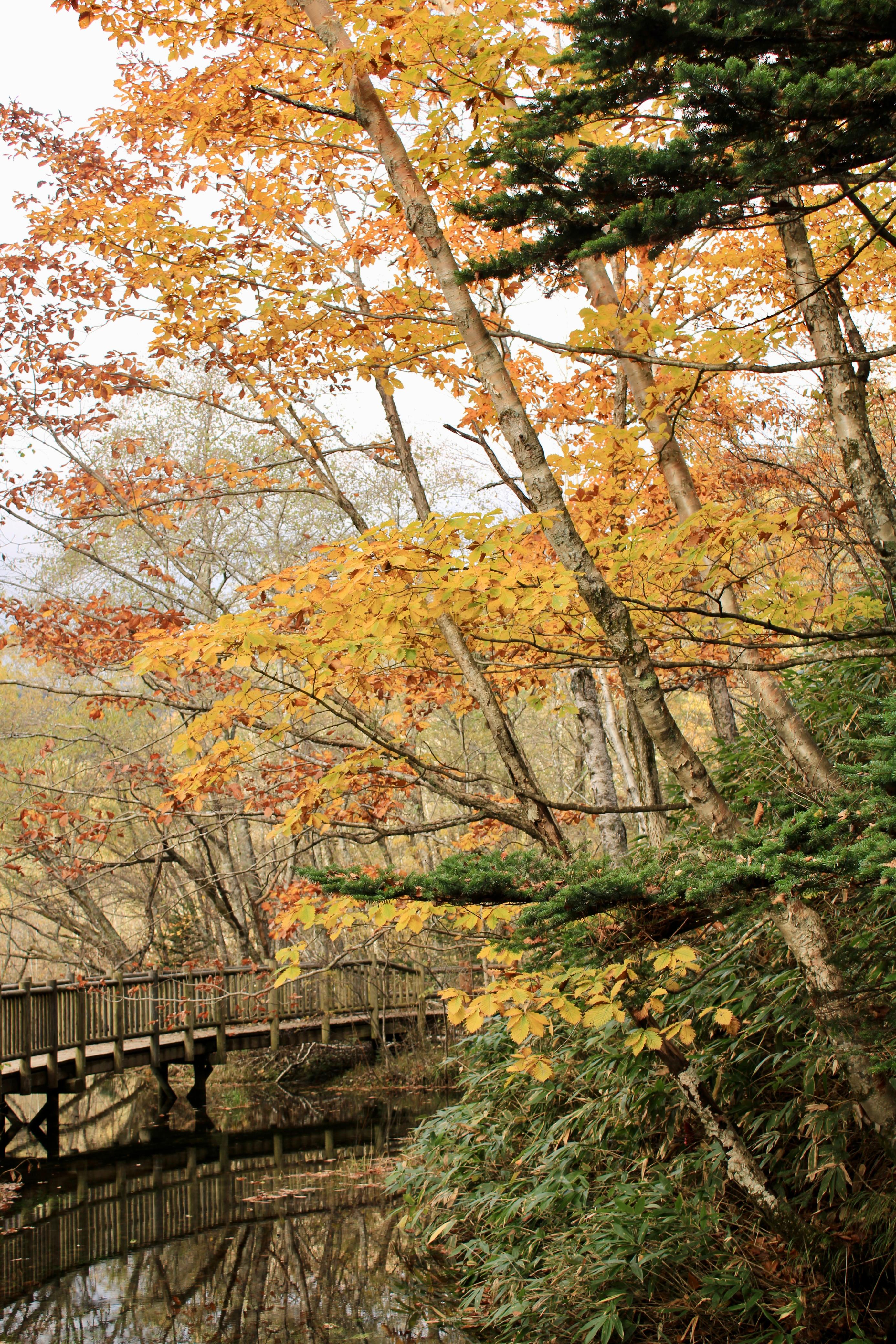 Hike to Hotel